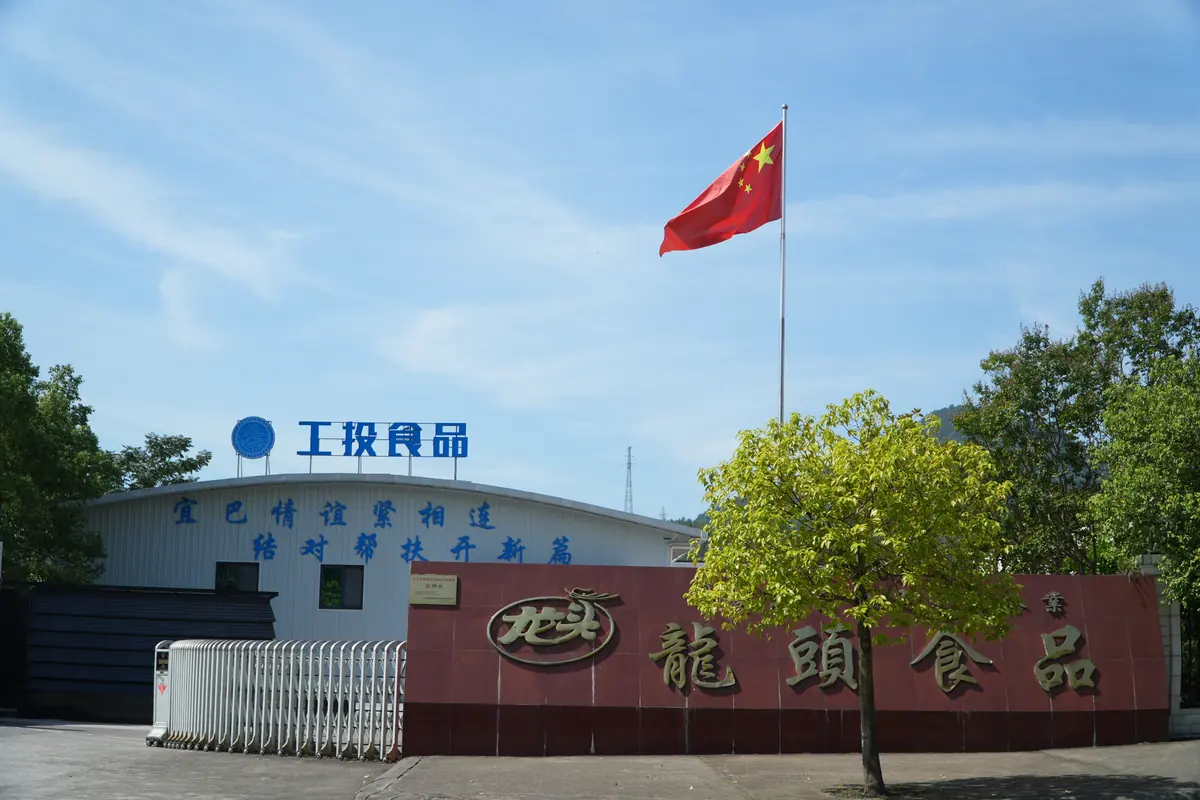 Bazhong Industry Investment