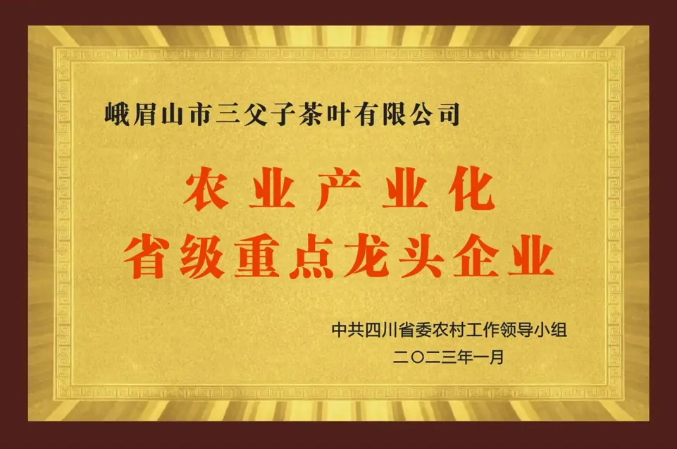 四川省龙头企业