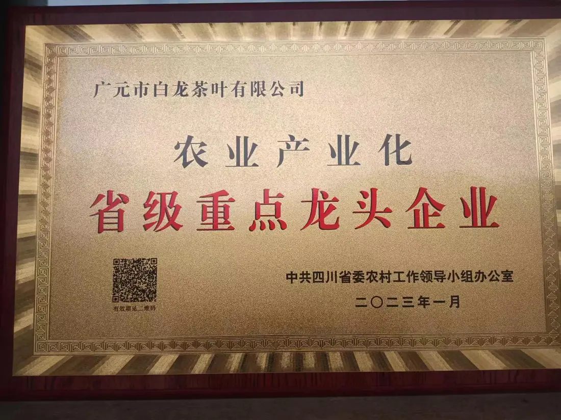 十一批省级重点龙头企业