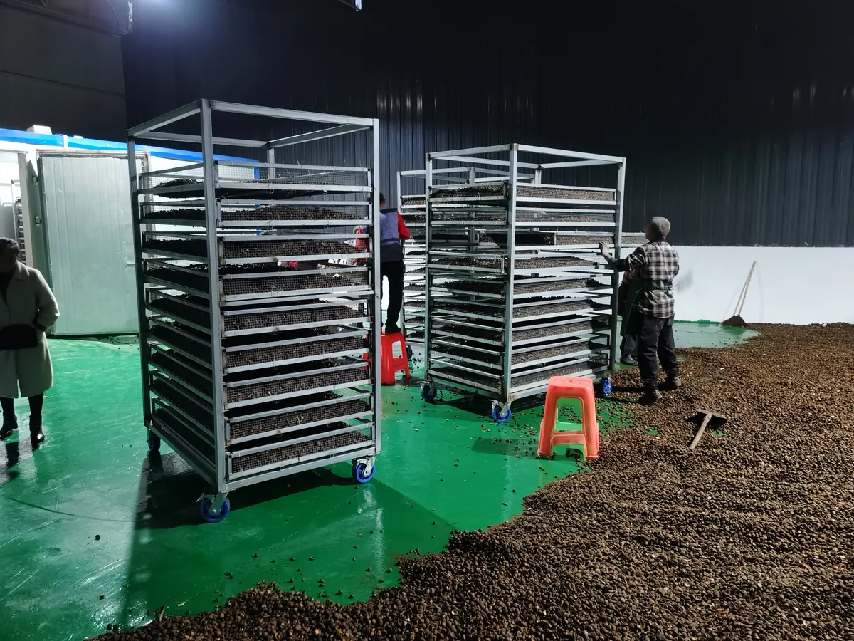 Longchang Yixinyuan Food Co., Ltd