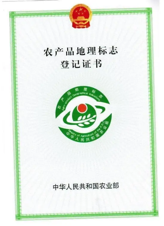 地理标志1