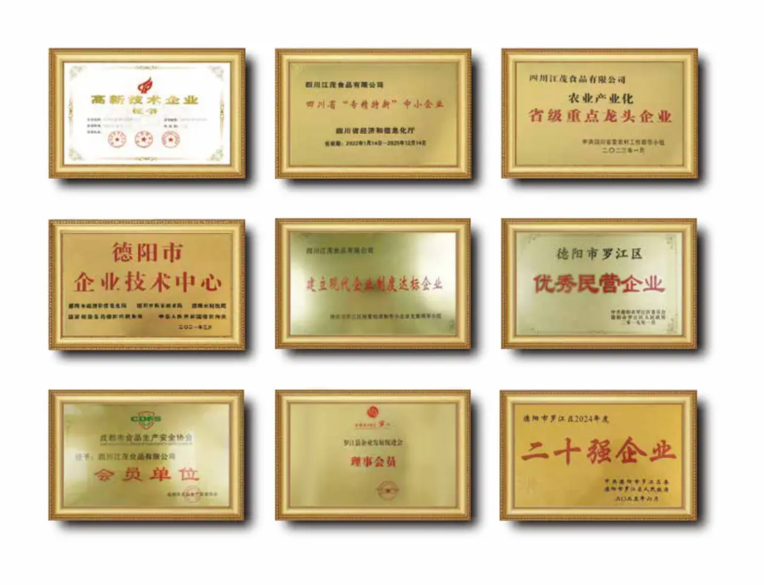荣誉证书