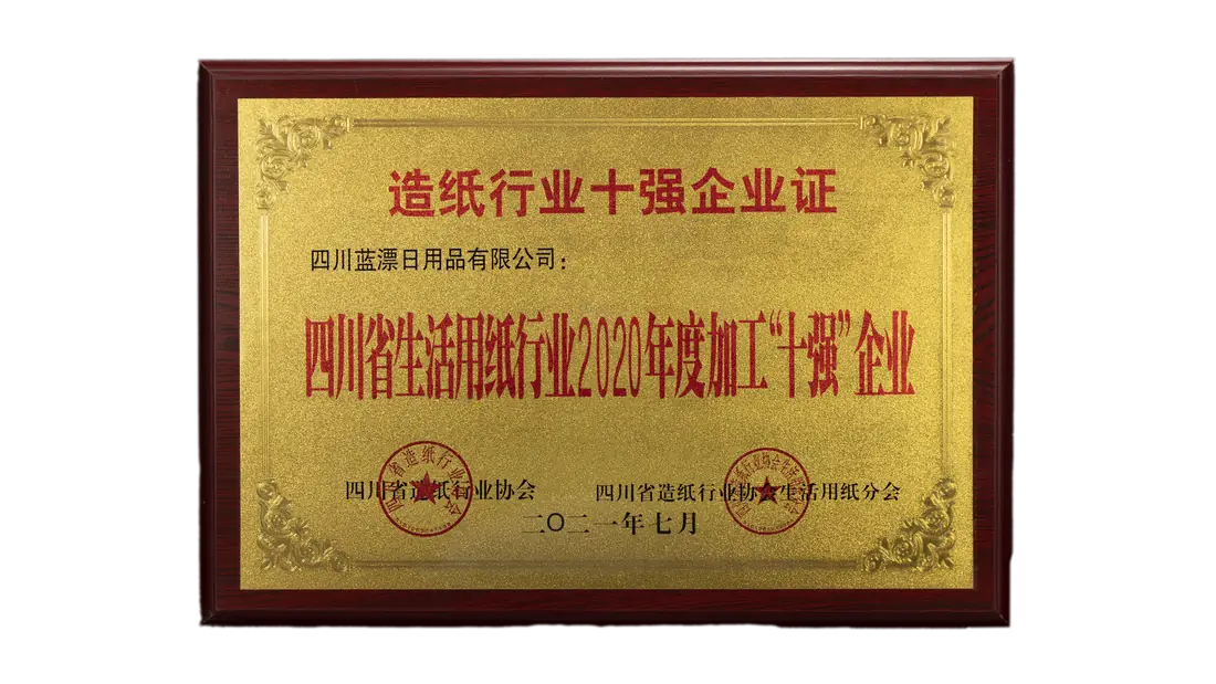 四川省生活用纸”十强“企业