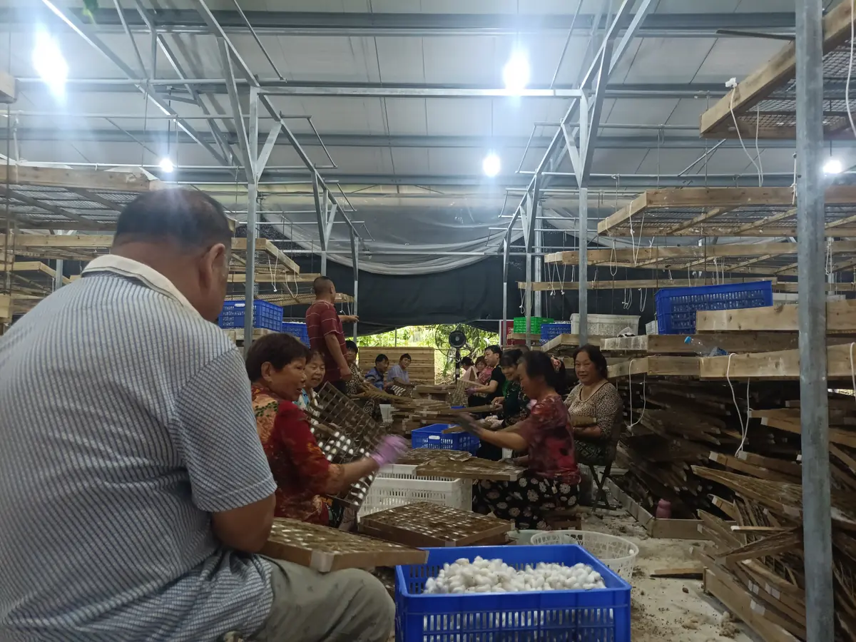 Sichuan Shisanchai Guochao Culture Communication Co., Ltd