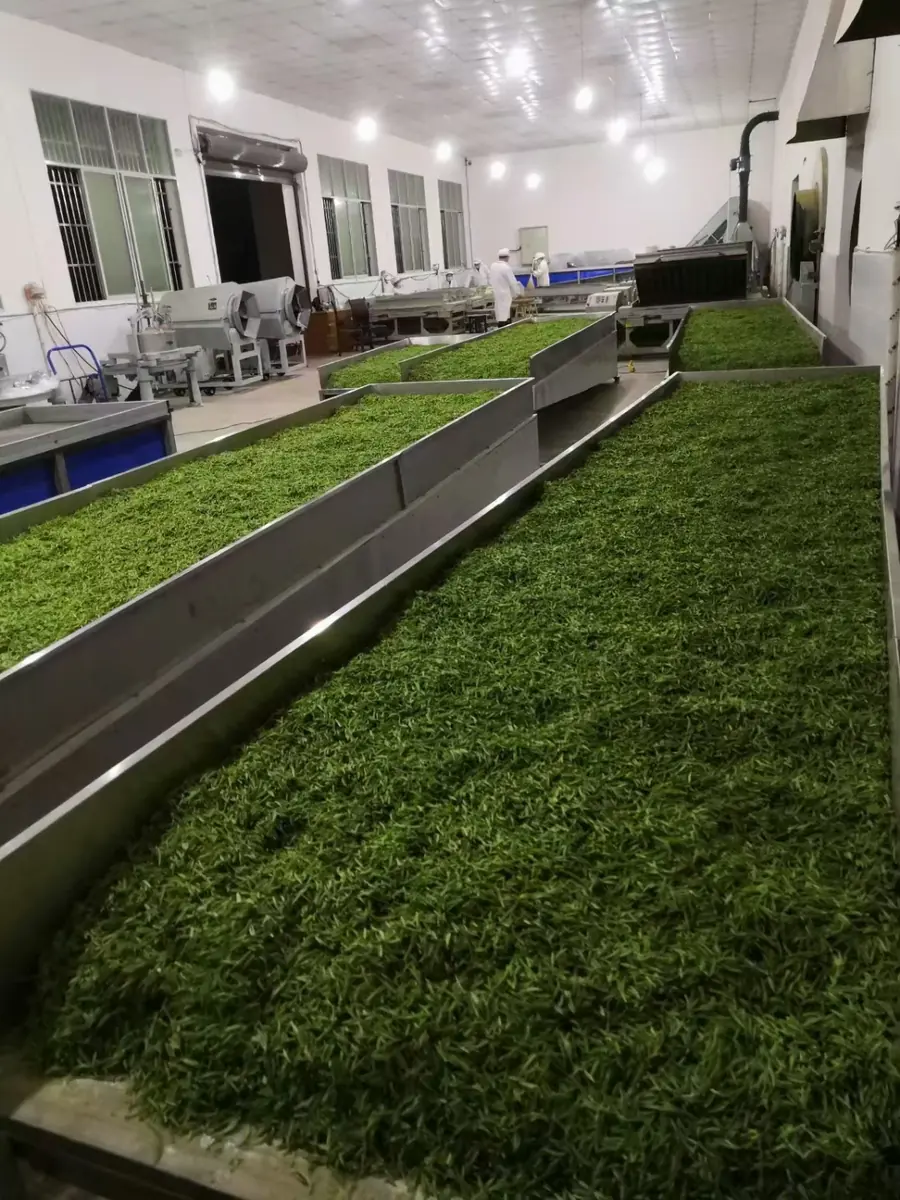 Sichuan Wanyuan Xinlv Tea Products Co., Ltd.