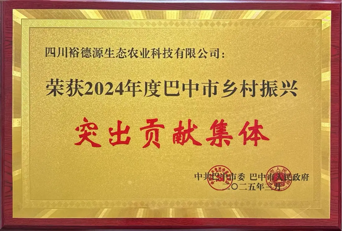 年度巴中市乡村振兴突出贡献集体