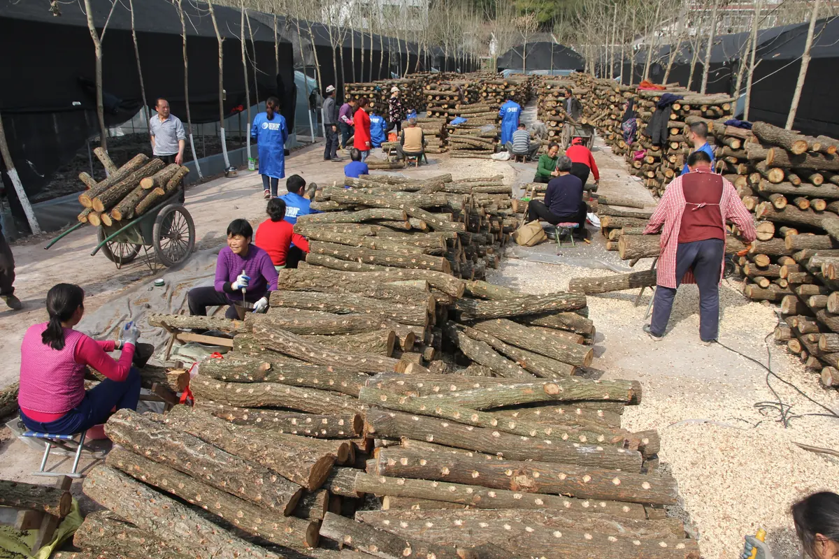Sichuan Yudeyuan Ecological Agriculture Technology