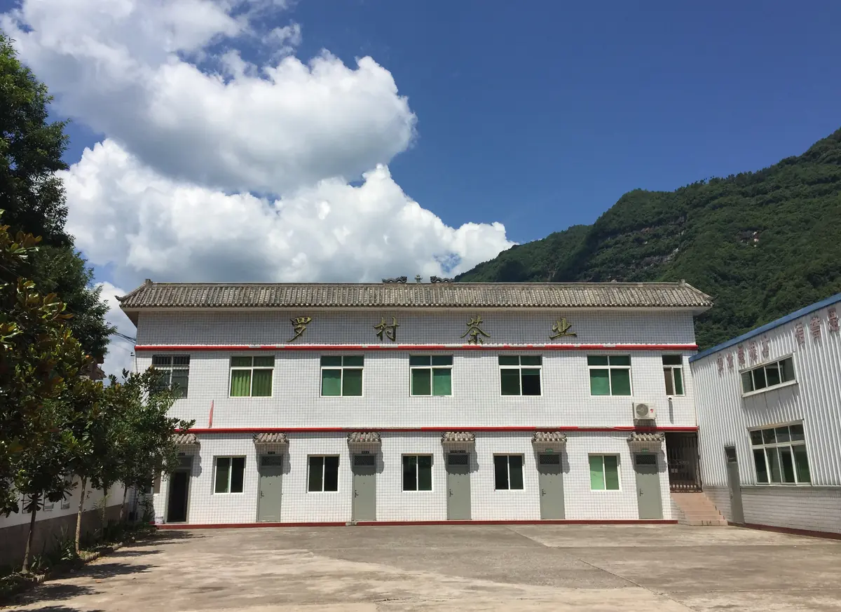 Tongjiang Luocun Tea Industry Co., Ltd
